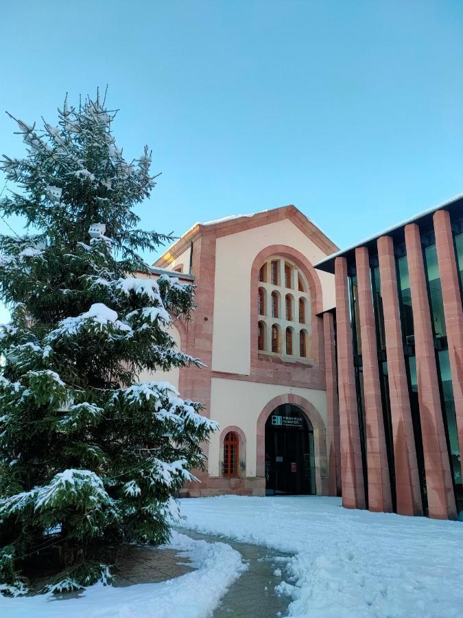 La Maison Bleue, A 20 Mn De Strasbourg, Sur La Route Des Vins, Jusqu'A 6 Personnes, Sélestat Εξωτερικό φωτογραφία
