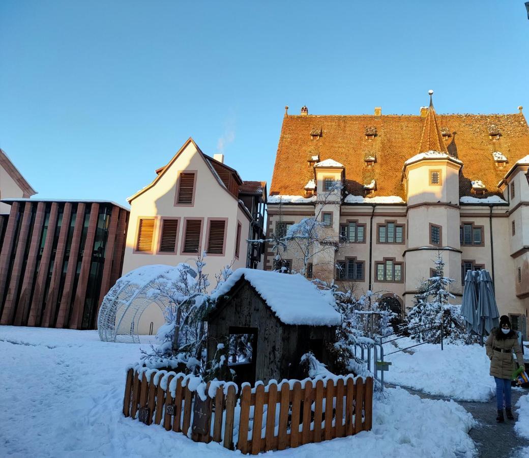 La Maison Bleue, A 20 Mn De Strasbourg, Sur La Route Des Vins, Jusqu'A 6 Personnes, Sélestat Εξωτερικό φωτογραφία