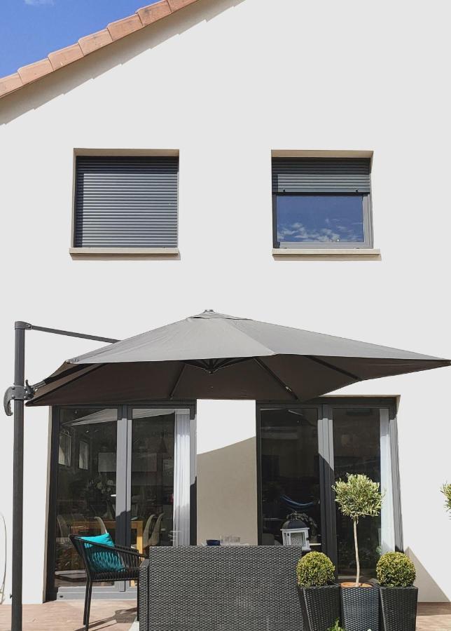 La Maison Bleue, A 20 Mn De Strasbourg, Sur La Route Des Vins, Jusqu'A 6 Personnes, Sélestat Εξωτερικό φωτογραφία