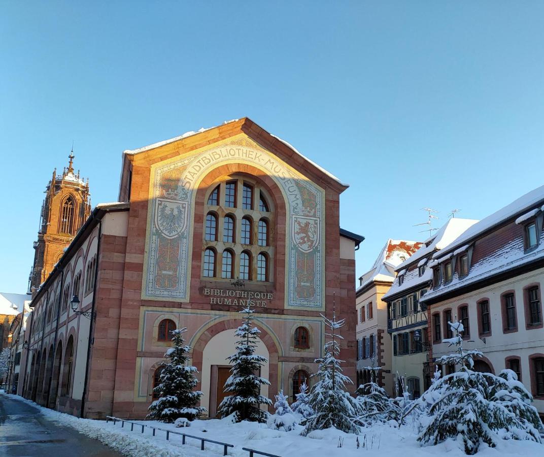 La Maison Bleue, A 20 Mn De Strasbourg, Sur La Route Des Vins, Jusqu'A 6 Personnes, Sélestat Εξωτερικό φωτογραφία