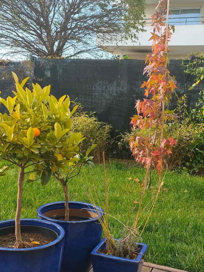 La Maison Bleue, A 20 Mn De Strasbourg, Sur La Route Des Vins, Jusqu'A 6 Personnes, Sélestat Εξωτερικό φωτογραφία